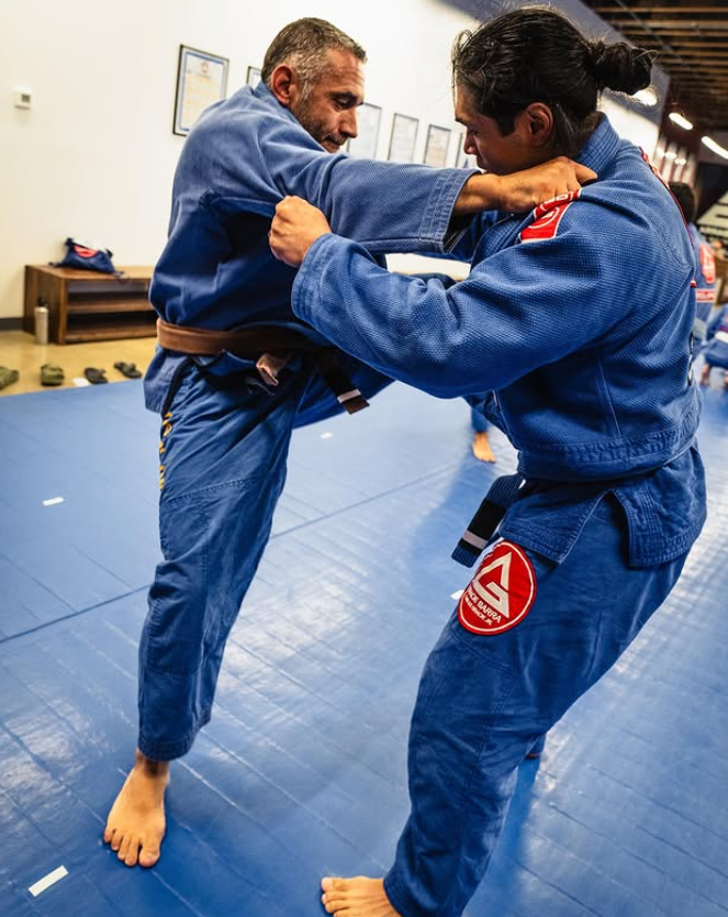 jiu jitsu train for brown belt