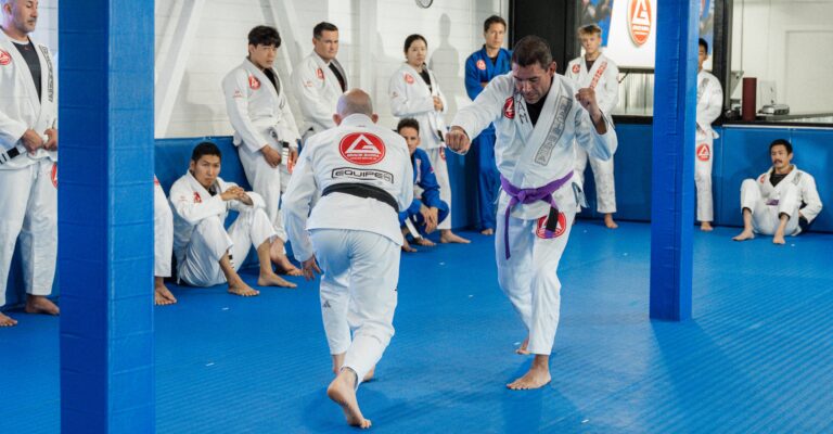Training Jiu-Jitsu self defense